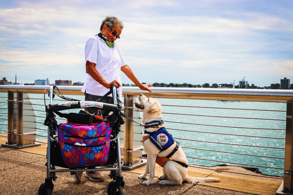 Empowering Independence The Remarkable Benefits of Service Dogs for People with Disabilities